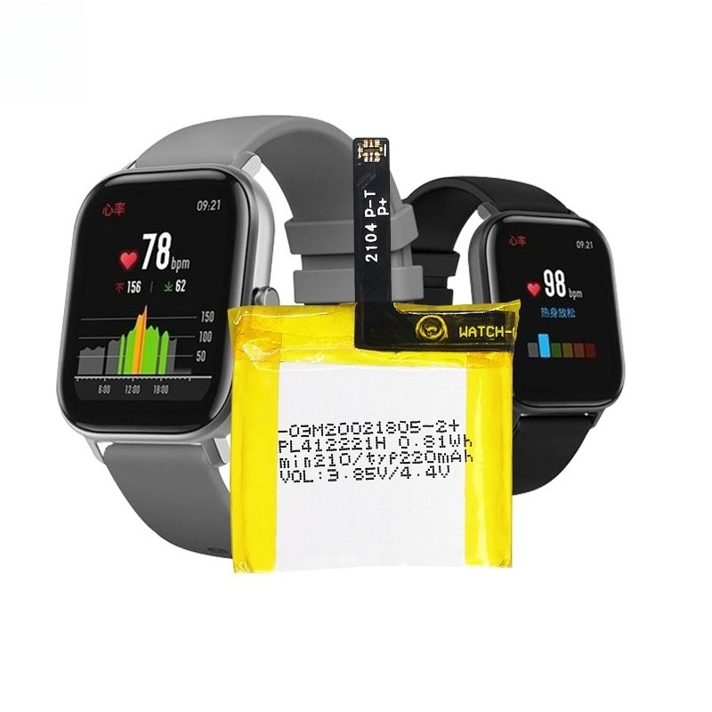 PL412221H Battery For Huami Am – Smartwatch A1914 Bewertung und Preis